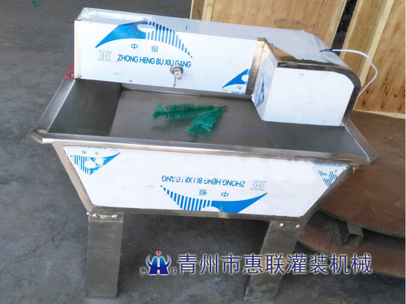 2頭毛刷刷瓶機(jī)